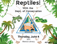 Reptiles!