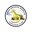 May Book Dragon Domain Monthly Newsletter